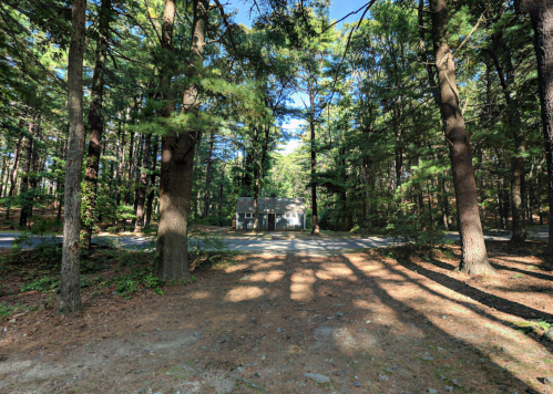 A secluded house surrounded by tall trees in a forested area, with sunlight filtering through the branches.