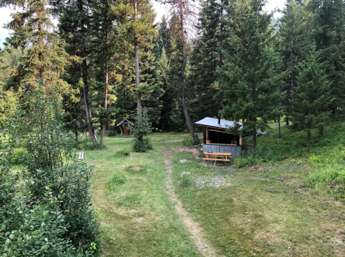 A serene forest scene with a grassy path, wooden structures, and tall trees in a peaceful natural setting.