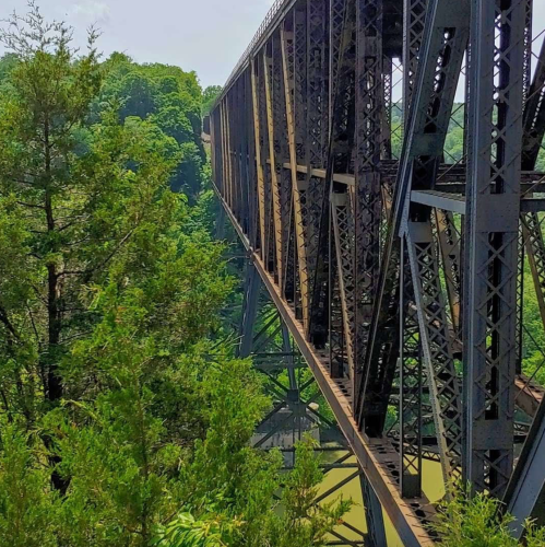 A metal bridge spans over a lush green landscape, surrounded by trees and reflecting in the water below.