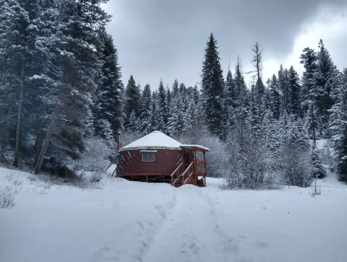 A cozy cabin surrounded by snow-covered trees and a winter landscape under a cloudy sky.