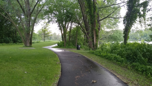 A winding path through a lush, green park with trees and a trash can nearby, after a rain.