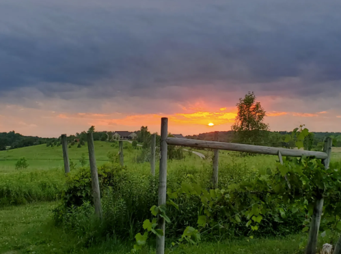 A vibrant sunset peeks through dark clouds over a green landscape, framed by wooden posts and vines.