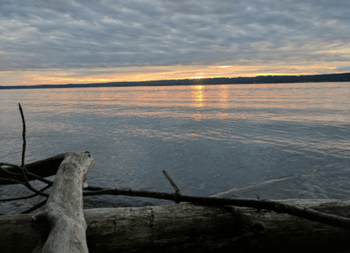 A serene lakeside view at sunset, with calm waters reflecting the colorful sky and driftwood in the foreground.