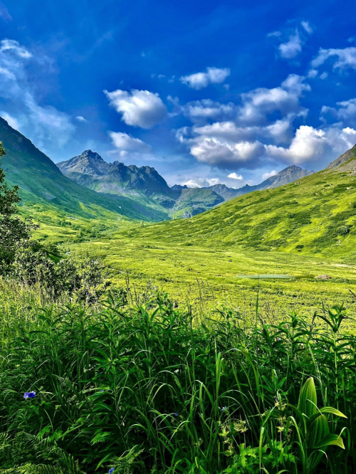 Lush green valley surrounded by mountains under a bright blue sky with fluffy clouds.