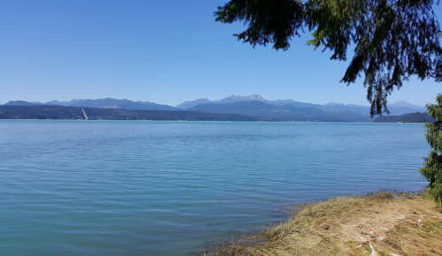 A serene lake view with mountains in the background and a clear blue sky, framed by trees on the shore.