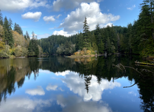 A serene lake surrounded by lush trees, reflecting clouds and blue sky in calm waters.