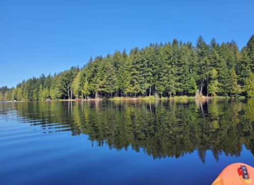A calm lake reflects a forest of green trees under a clear blue sky.