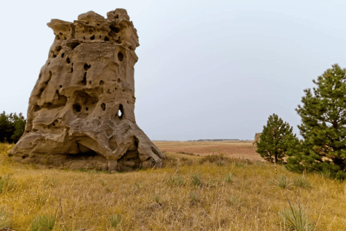 A large, weathered rock formation with holes stands in a grassy landscape, surrounded by sparse trees and open fields.
