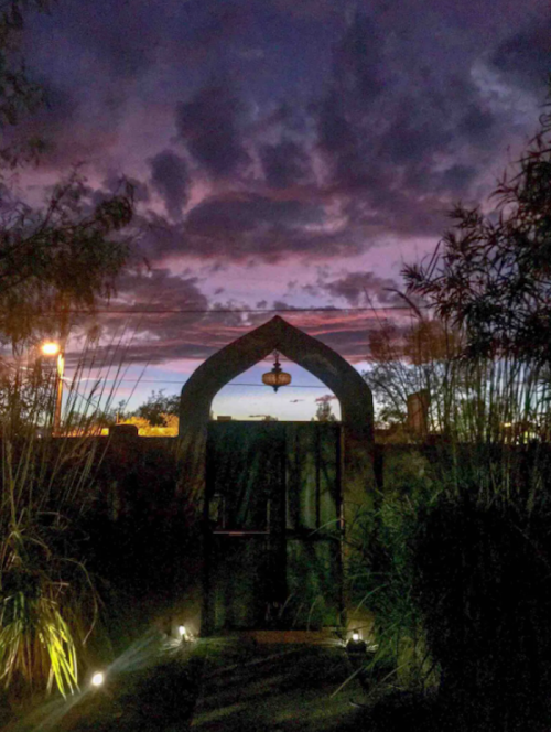 A dark archway framed by tall plants, under a colorful twilight sky with clouds and soft lighting.