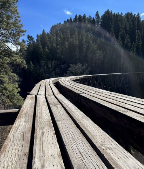 A wooden bridge curves over a forested area, surrounded by tall trees and a clear blue sky.