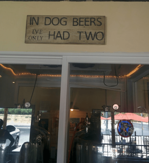 A wooden sign reads, "In dog beers, I've only had two," hanging above brewing equipment in a casual setting.