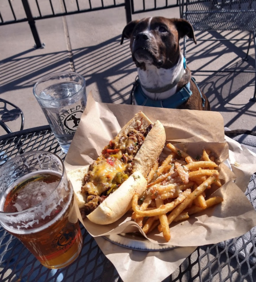 A plate with a loaded sandwich and fries, alongside a glass of beer, with a dog sitting at the table.