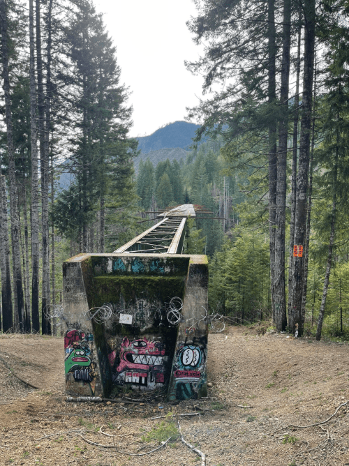 Abandoned railway bridge with graffiti, surrounded by tall trees and mountains in the background.