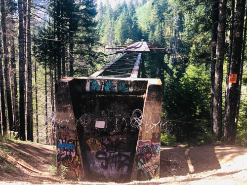 Abandoned bridge with graffiti, surrounded by dense green trees and a dirt path leading down.
