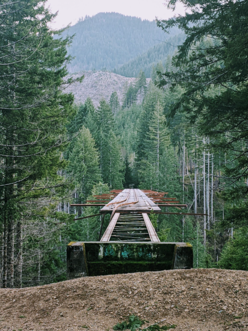 A weathered wooden bridge stretches over a forested valley, surrounded by tall trees and mountains in the background.
