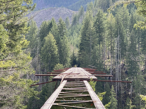A rusted railway bridge stretches over a dense forest, surrounded by tall green trees and distant mountains.
