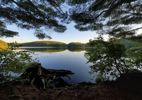 Serene lake view framed by trees, reflecting the sky and surrounding hills in calm waters.