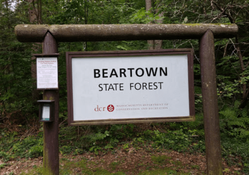 Sign for Beartown State Forest surrounded by trees, indicating the location and conservation department.