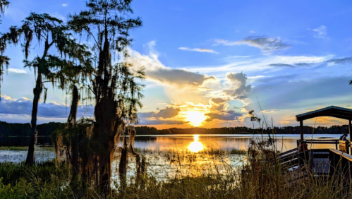 Sunset over a tranquil lake, with silhouetted trees and reflections on the water, creating a serene landscape.