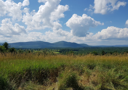 A scenic view of rolling hills and mountains under a blue sky with fluffy clouds, framed by tall grass in the foreground.