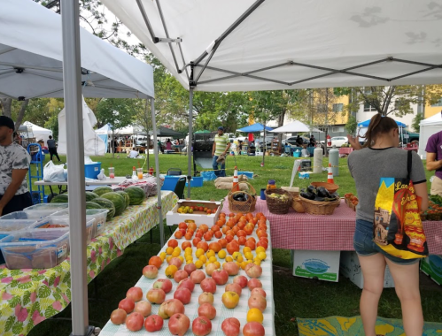 A vibrant farmers market with tables of fresh produce, including apples and tomatoes, under white tents.