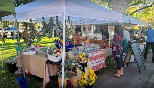 A vibrant farmers market with stalls selling fresh produce, flowers, and apple cider, surrounded by people enjoying the day.