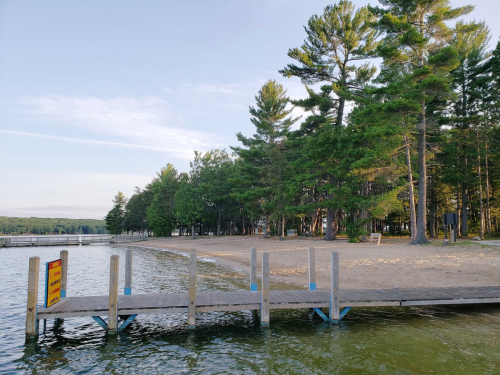 A wooden dock extends into a calm lake, with sandy beach and tall trees lining the shore in the background.
