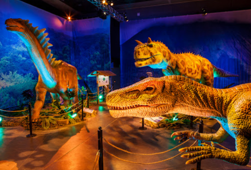 Three large dinosaur models in a museum exhibit, featuring a T. rex and a long-necked dinosaur, with colorful lighting.