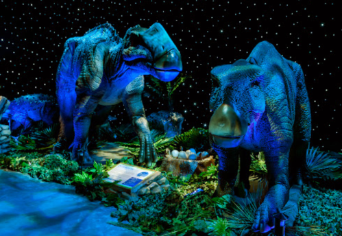 Two dinosaur sculptures in a dimly lit exhibit, surrounded by plants and eggs, with a starry backdrop.