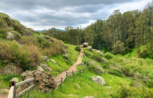 A winding dirt path through lush greenery and rocky terrain, surrounded by trees under a cloudy sky.