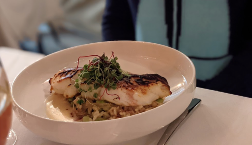 A plate of grilled fish on a bed of risotto, garnished with microgreens, served in a white bowl.