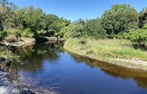 A serene river curves through lush greenery under a clear blue sky.