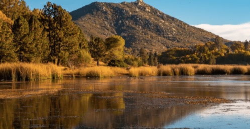 A serene landscape featuring a calm lake, tall grasses, and a mountain in the background under a clear blue sky.