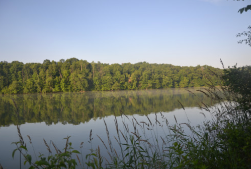 A calm lake surrounded by lush green trees, reflecting the clear blue sky and foliage.