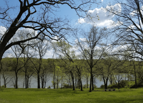 A serene riverside scene with trees and a grassy area under a blue sky with fluffy clouds.