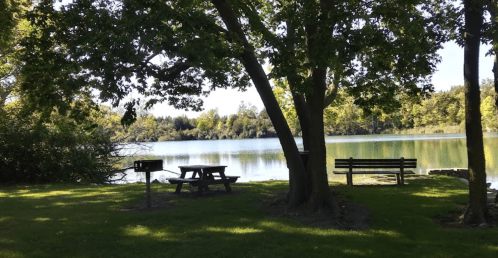 A serene lakeside scene with picnic tables, benches, and lush greenery under a clear blue sky.
