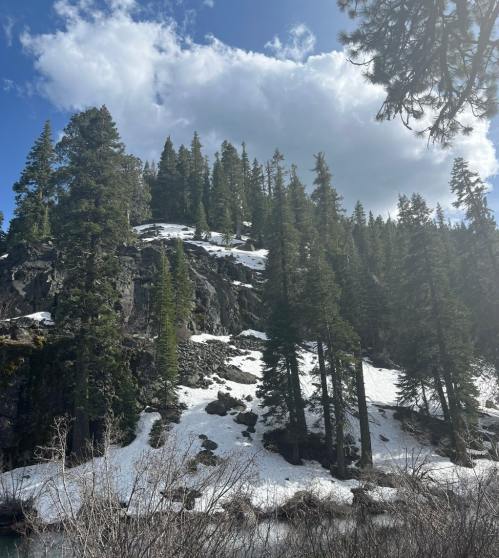 A scenic view of a rocky hillside covered in snow, surrounded by tall evergreen trees under a partly cloudy sky.