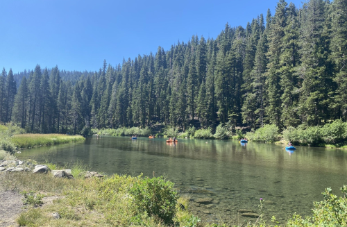 A serene lake surrounded by tall pine trees, with kayakers enjoying the calm water on a sunny day.