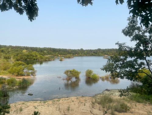 A serene lake surrounded by greenery and sandy shores under a clear blue sky.