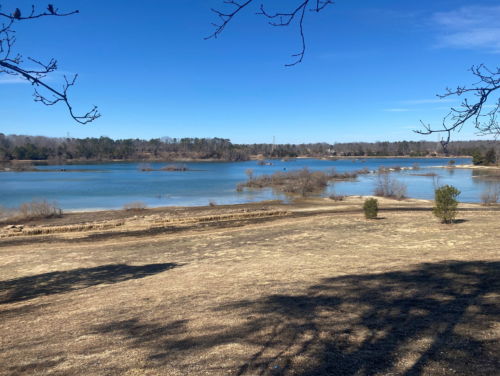 A serene lake surrounded by bare trees and a dry shoreline under a clear blue sky.