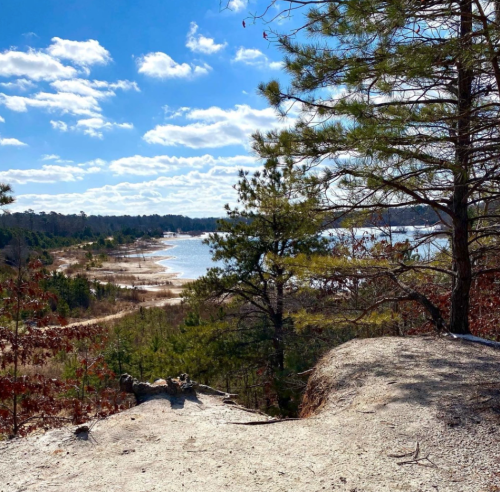 A scenic view of a sandy shoreline and calm water, framed by trees under a bright blue sky with fluffy clouds.