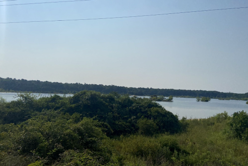 A serene lake surrounded by lush greenery under a clear blue sky.
