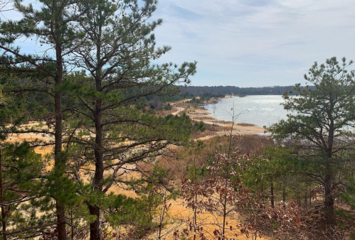 A scenic view of a lake surrounded by trees and sandy shores under a cloudy sky.
