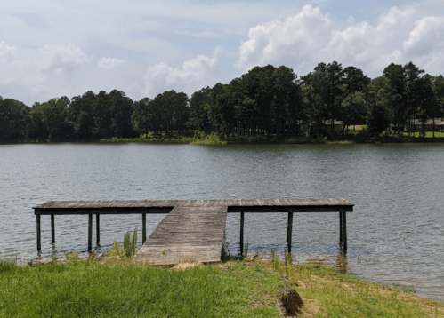 A wooden dock extends into a calm lake, surrounded by trees and a cloudy sky.