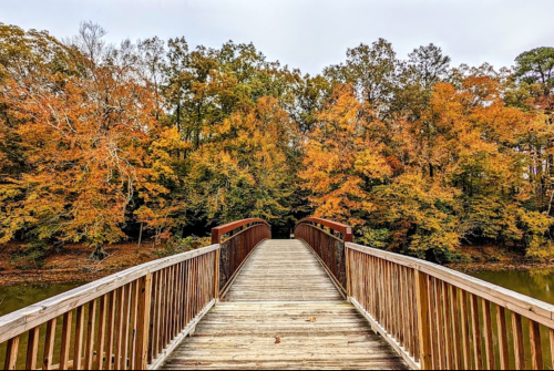 A wooden bridge leads into a forest of vibrant autumn trees with orange and yellow leaves, reflecting on the water below.