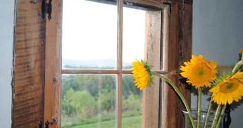 A rustic window with wooden frames, featuring sunflowers in a vase and a scenic view of greenery outside.