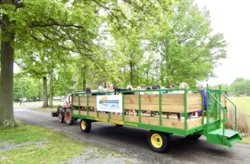 A green tractor pulls a wooden wagon filled with people through a tree-lined path at Paradise Lakes.