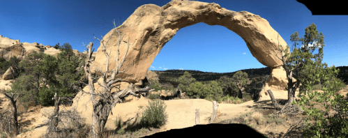 A natural stone arch stands against a clear blue sky, surrounded by desert vegetation and rocky terrain.