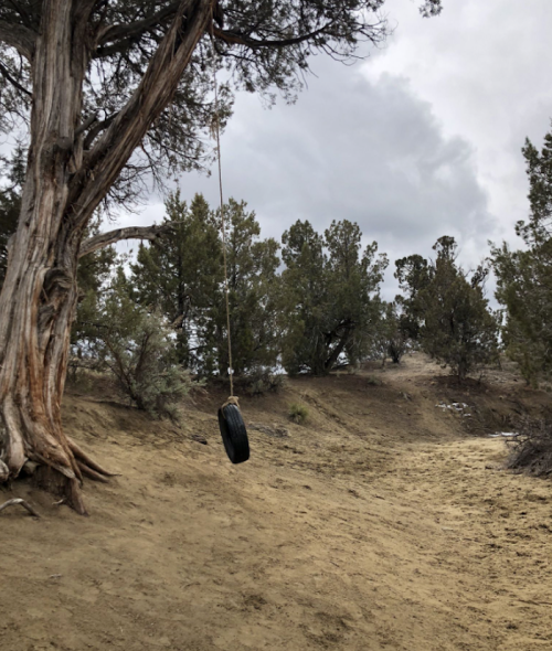 A tire swing hangs from a tree in a sandy area surrounded by sparse vegetation and cloudy skies.