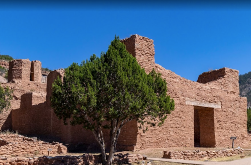 Ancient adobe ruins under a clear blue sky, with a green tree in the foreground.